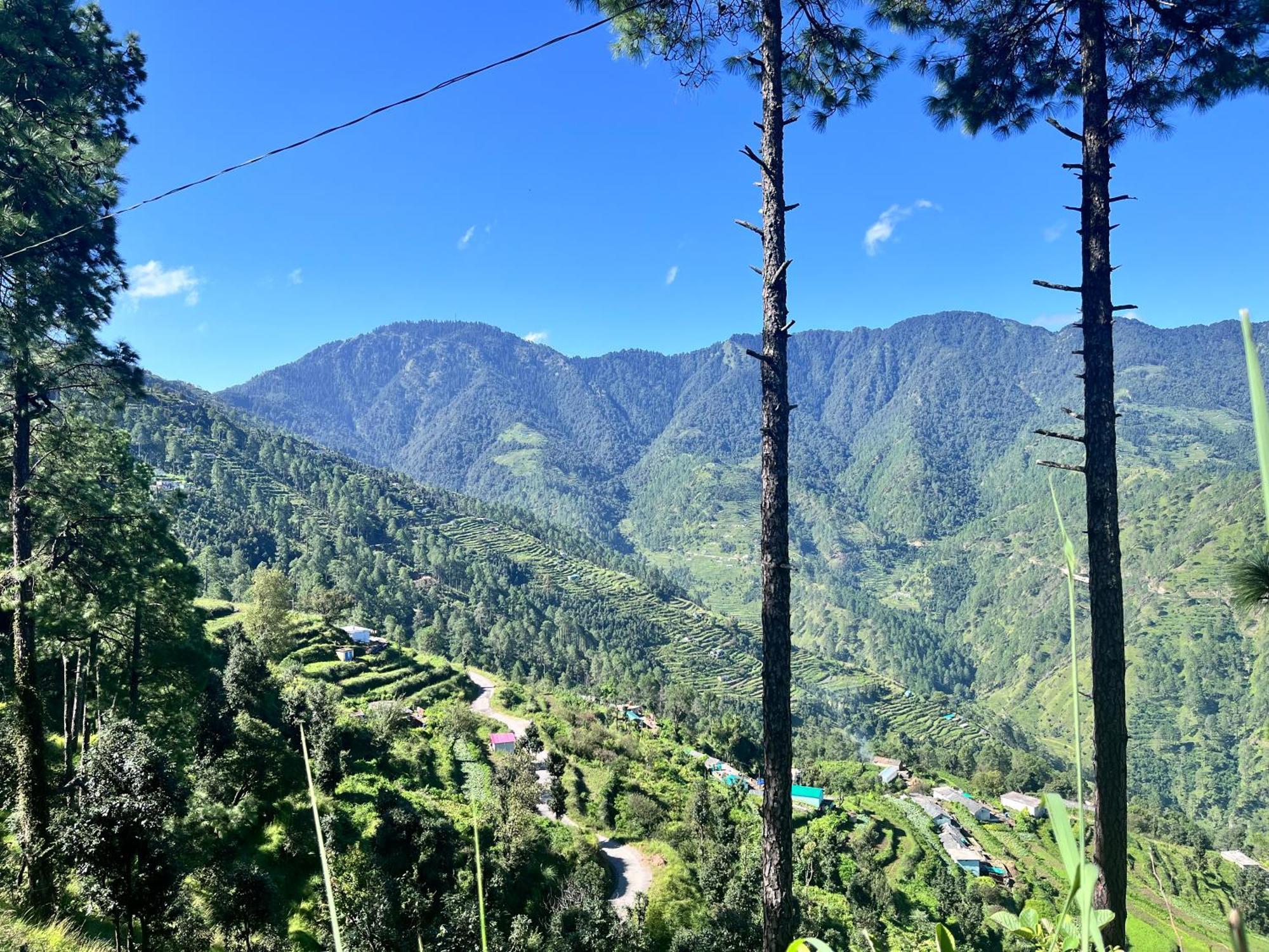 Himalayan Hill Top Resort 卡纳塔尔 外观 照片